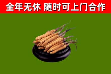 佳木斯市烟酒回收冬虫夏草.jpg